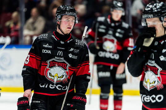 Malmö Redhawks Petter Vesterheim deppar