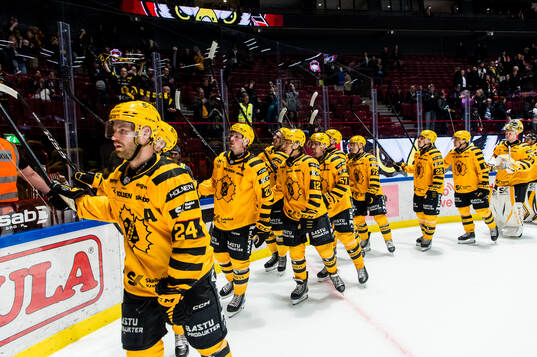 Malmö Redhawks spelare jublar