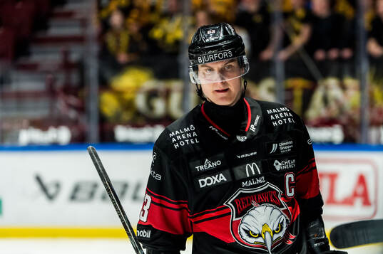 Malmö Redhawks Fredrik Händemark deppar
