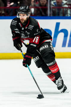 Malmö Redhawks Robin Hanzl
