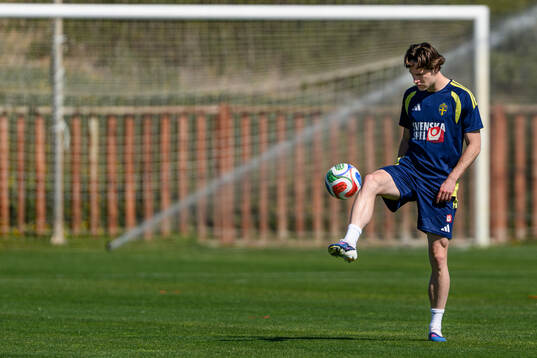 Mattias Svanberg of the Swedish national football team at a