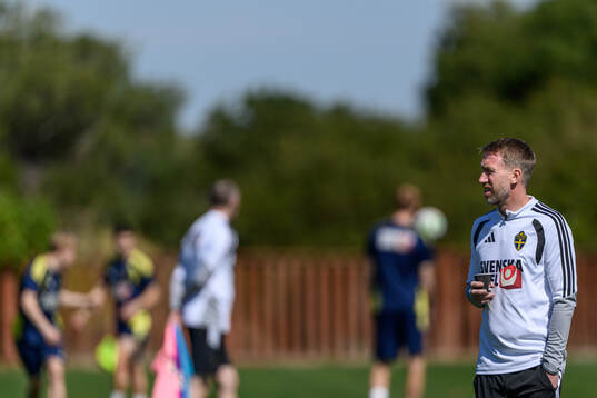Head coach Graham Potter of the Swedish national football