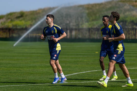 Roony Bardghji of the Swedish national football team at a