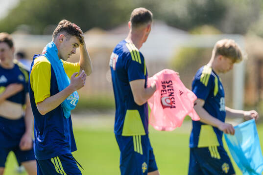 Williot Swedberg of the Swedish national football team at a