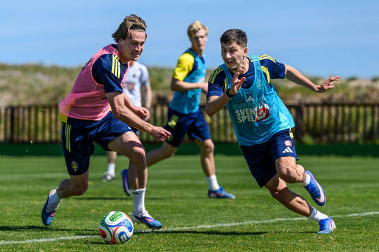 Mattias Svanberg and Roony Bardghji of the Swedish national