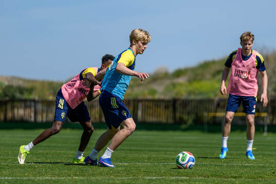 Taha Ali and Lucas Bergvall of the Swedish national