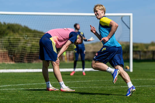Gustaf Nilsson looks dejected and Lucas Bergvall celebrates