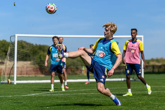 Lucas Bergvall of the Swedish national football team at a