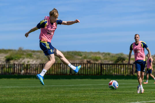 Daniel Svensson of the Swedish national football team at a