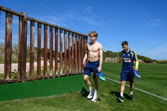 Daniel Svensson and Roony Bardghji of the Swedish national
