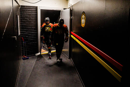 Brynäs spelare