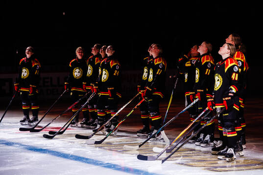 Brynäs spelare