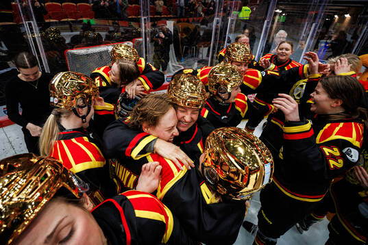 Brynäs spelare jublar