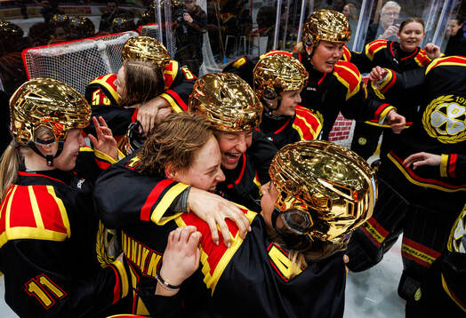 Brynäs spelare jublar
