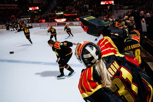 Brynäs spelare jublar
