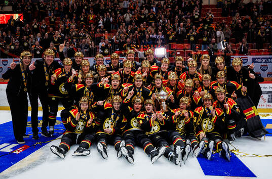 Bläddra bland fler bilder av Ishockey, SDHL, Final 3, Brynäs - Frölunda