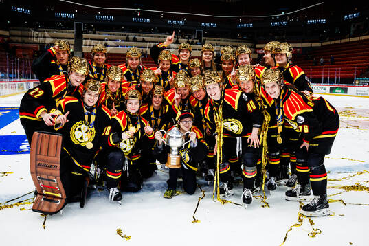 Brynäs spelare jublar