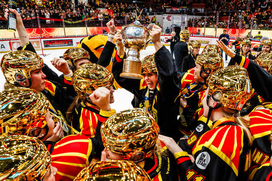 Brynäs spelare jublar