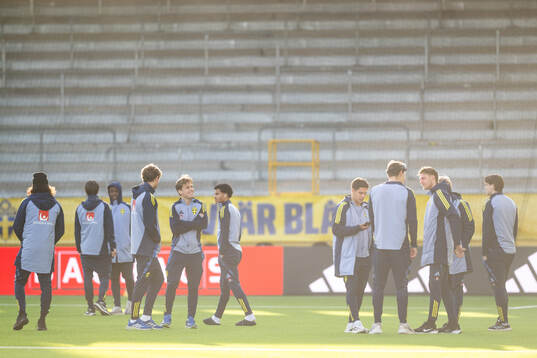Players of Sweden