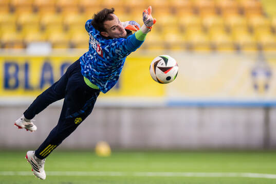 Goalkeeper Elis Bishesari of Sweden