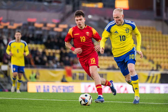 Stefan Radojevic of Montenegro and Marcus Rafferty of Sweden