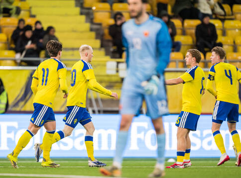 Marcus Rafferty and Noah Tolf of Sweden celebrates
