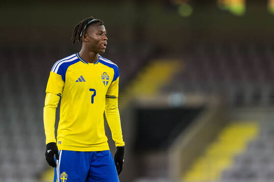 Alieu Njie of Sweden