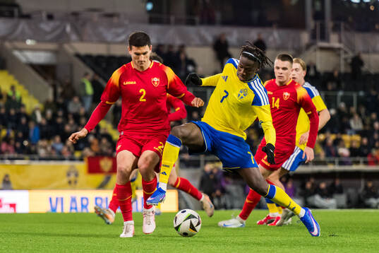 Stefan Melentijevic of Montenegro and Alieu Njie of Sweden