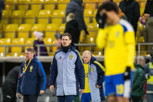 Head coach Daniel Bäckström of Sweden looks dejected