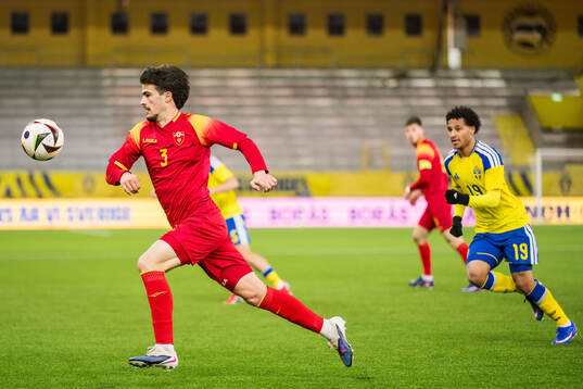 Lazar Maras of Montenegro and Momodou Sonko of Sweden