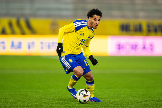 Momodou Sonko of Sweden