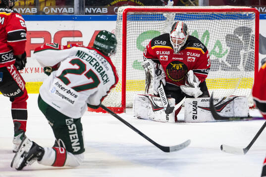 Luleås målvakt Matteus Ward
