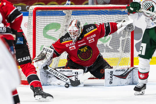 Luleås målvakt Matteus Ward