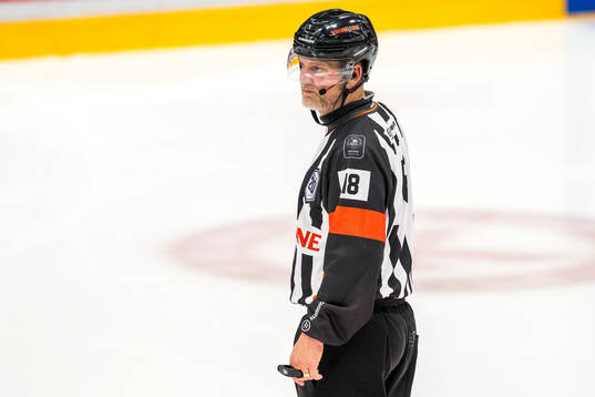 Domare Mikael Nord