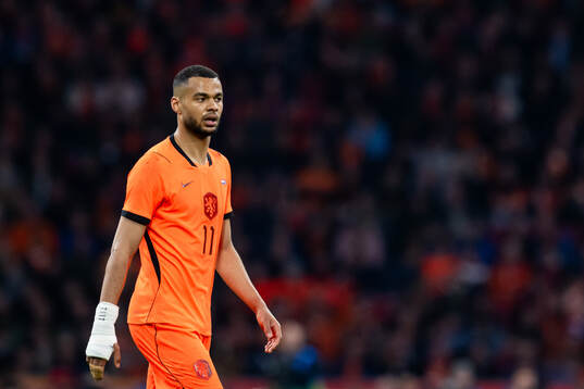 Cody Gakpo of Netherlands