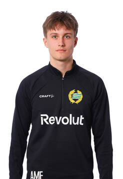 Hammarbys assisterande tränare Alfred Mörk-Eidem