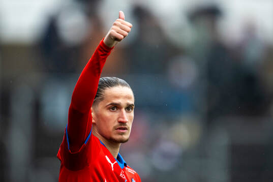 Helsingborgs Ervin Gigovic