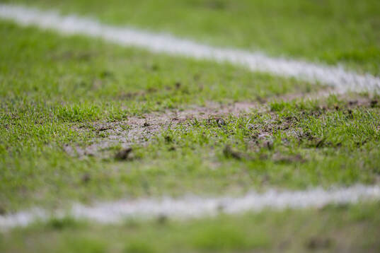 Quality of the grass at Brann Stadion