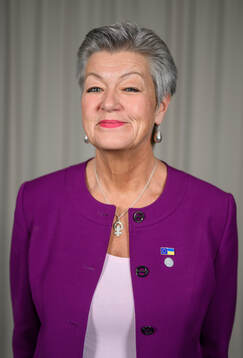 Ylva Johansson, ordförande i Elitfotboll Dam