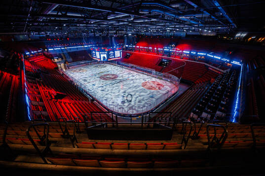 Monitor ERP Arena