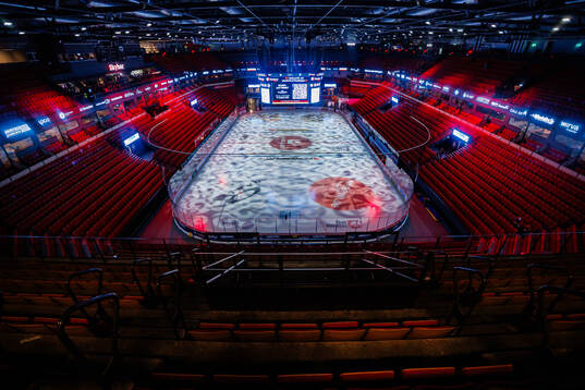 Monitor ERP Arena