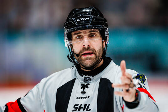 Domare Mikael Sjöqvist