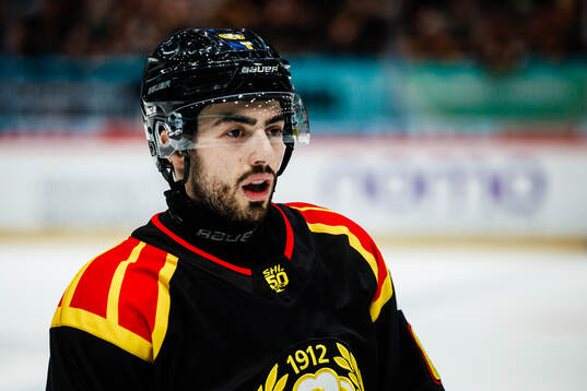 Brynäs Bobby Trivigno