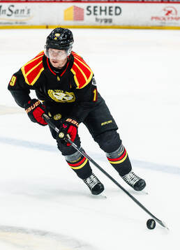 Brynäs Nicklas Bäckström