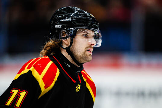 Brynäs Axel Jonsson-Fjällby