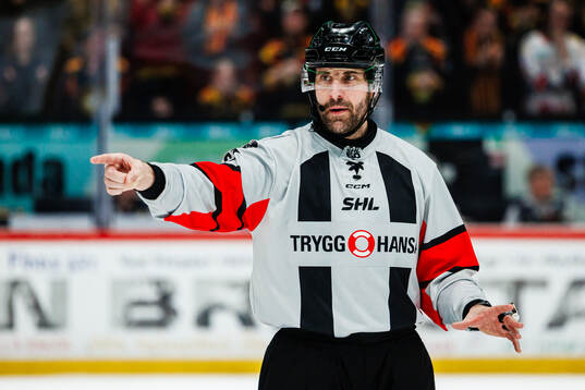 Domare Mikael Sjöqvist