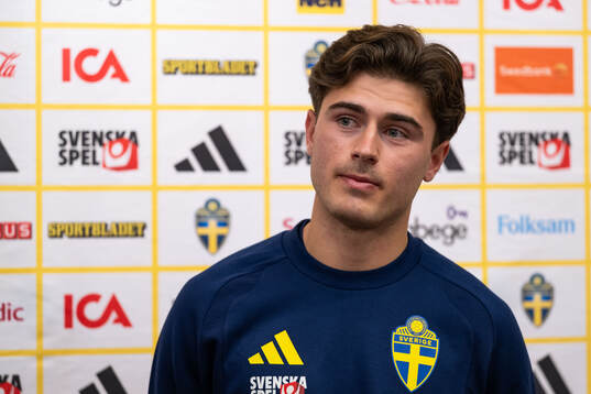 Besfort Zeneli of the Swedish national football team