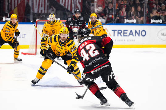 Malmö Redhawks Robin Salo och Skellefteås Oscar Lindberg