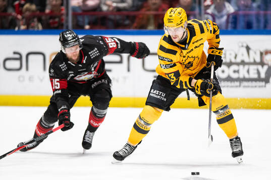 Malmö Redhawks Carl Persson och Skellefteås Max Krogdahl