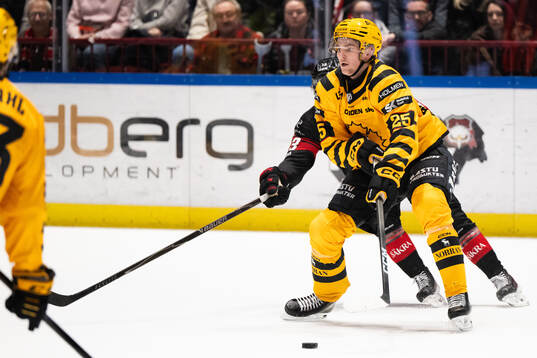 Skellefteås Pontus Johansson